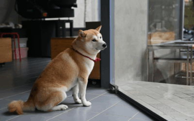 Bottom scooting: what a drag!